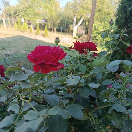 Guest House Bee Visoko Ngoại thất bức ảnh