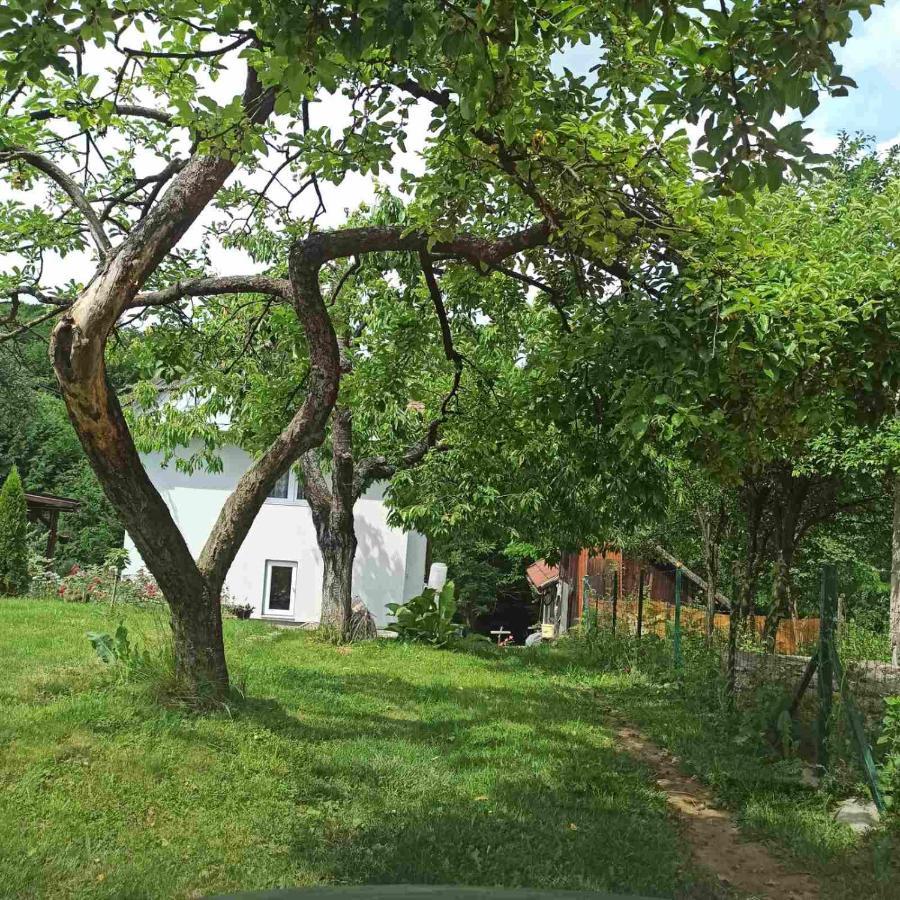 Guest House Bee Visoko Ngoại thất bức ảnh